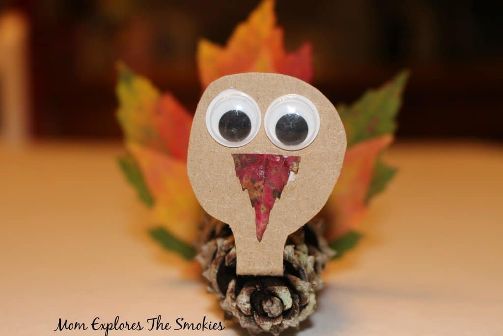 a completed pinecone turkey craft with a real leaf tail and google eyes