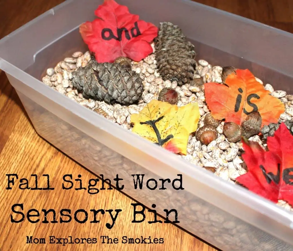 completed sensory bin with leaves on top reading is, I, and, we