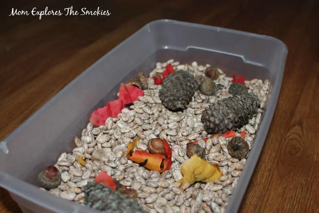assembled sensory bin with beans, nature items, and fake leaves