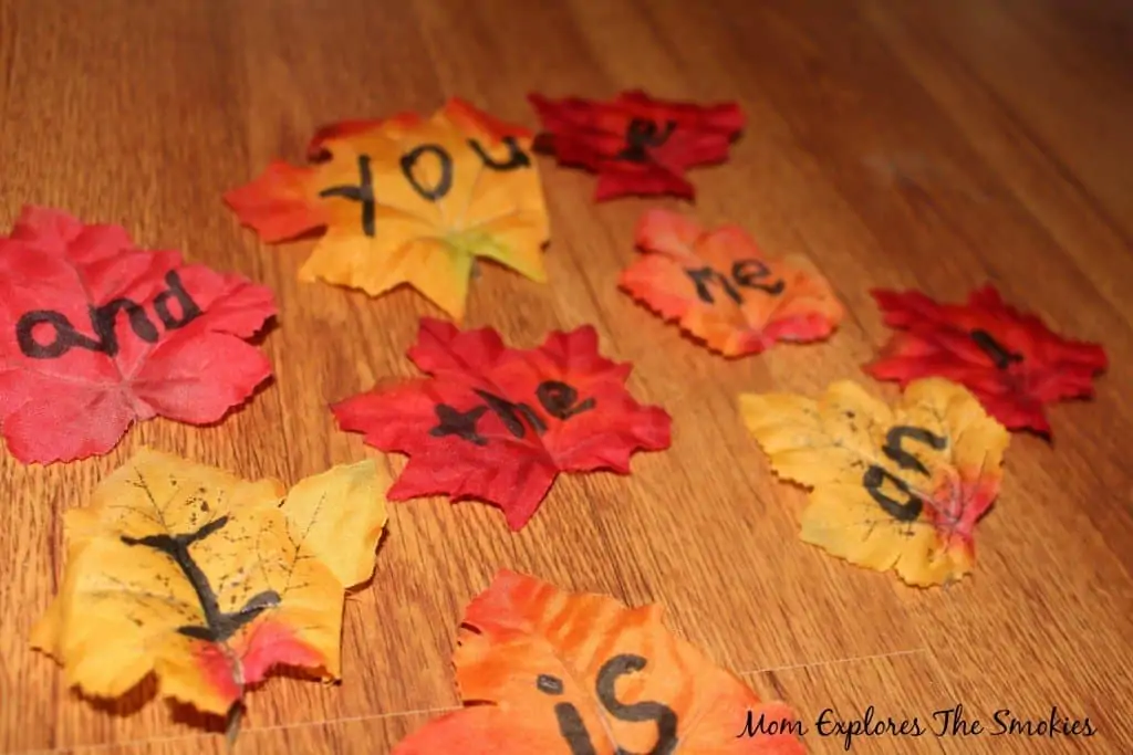 fake leaves with a variety of sight words written on them: and, you, we, the, on, etc. 