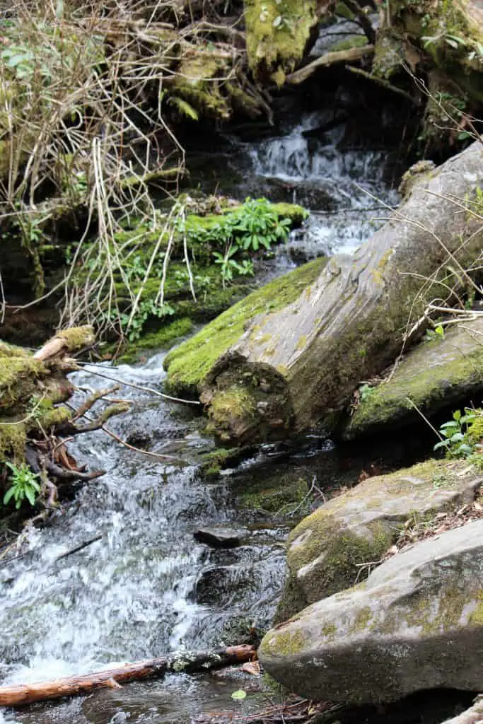Kid Friendly Smokies, Grotto Falls, Mom Explores The Smokies
