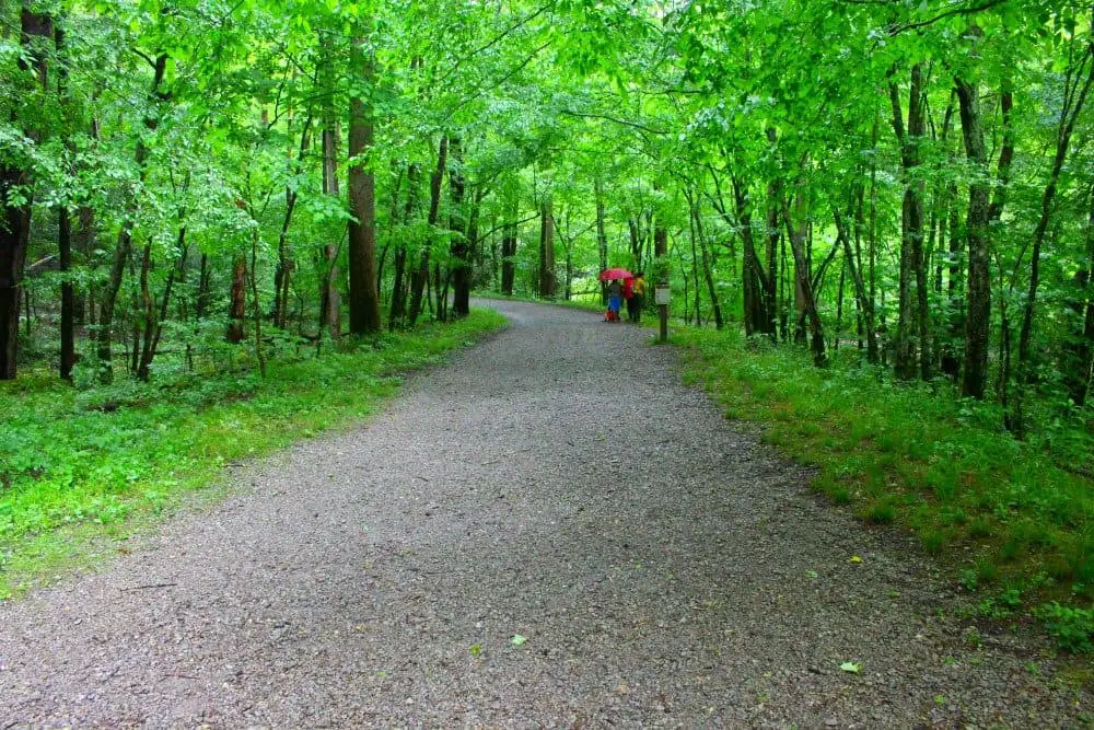 Kid Friendly Smokies, Schoolhouse Gap Trail, Mom Explores The Smokies