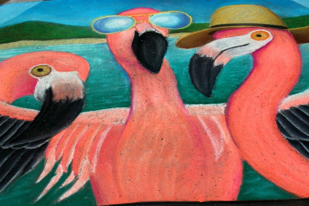 3 pink flamingos drawn in chalk