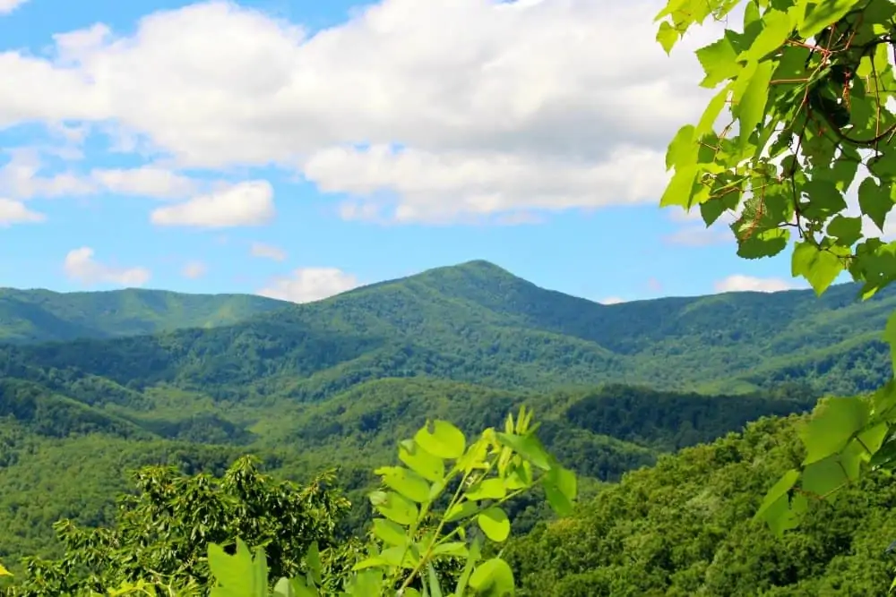 mountain landscape in great smoky mountains national park
