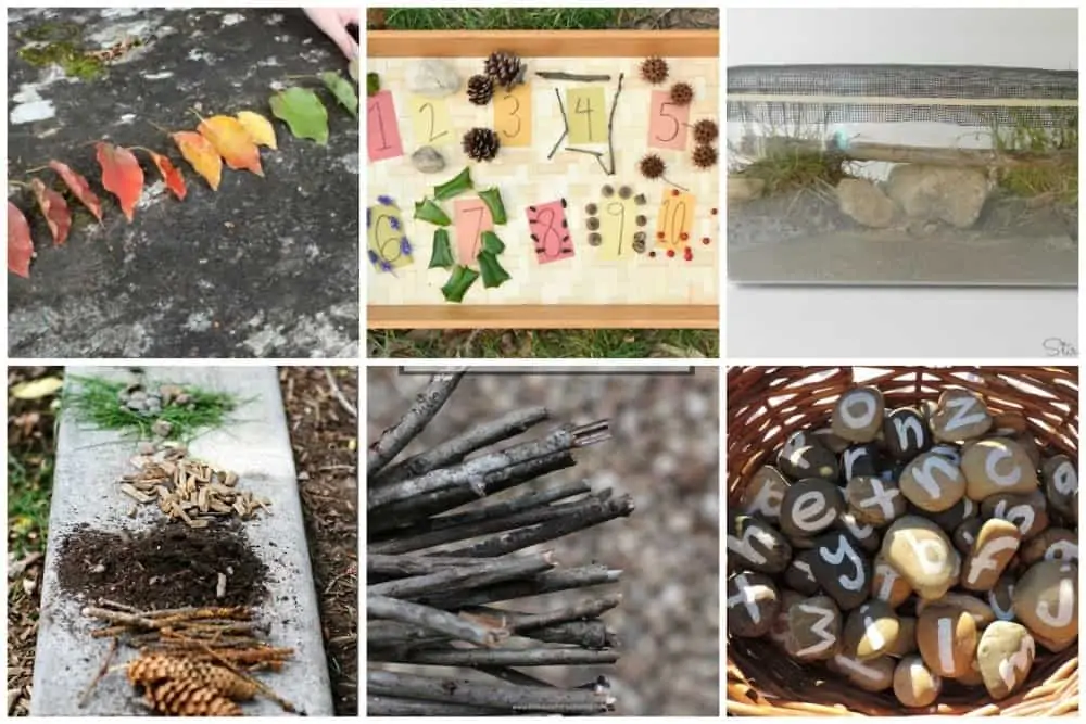 collage of nature activities as described in the text below