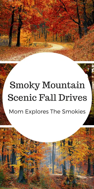 Smoky Mountain Scenic Fall Drives, Mom Explores The Smokies