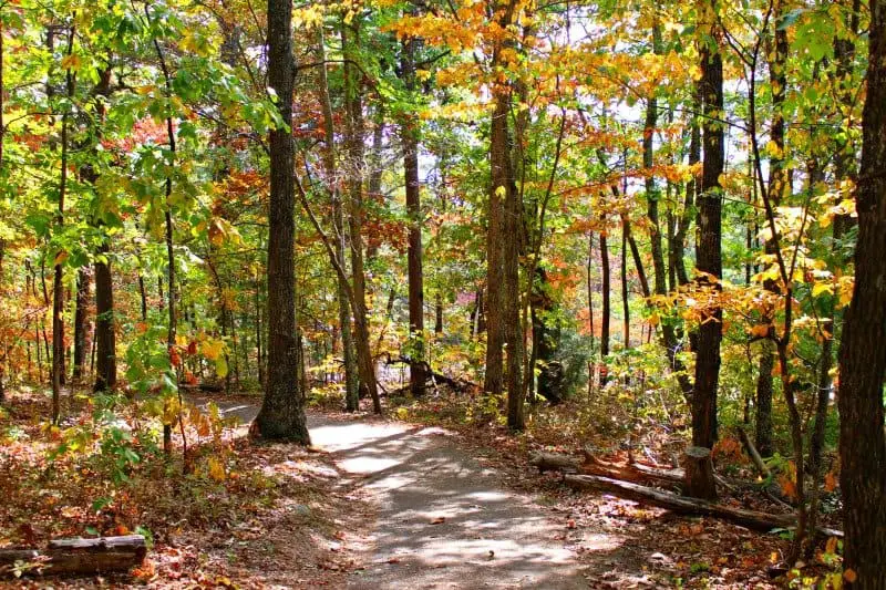 Look Rock Observation Tower & Hiking Tail, Mom Explores The Smokies