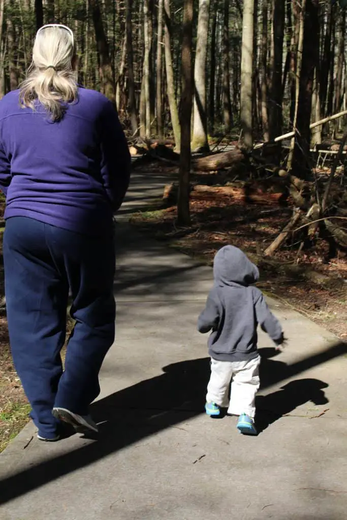Sugarlands Valley Nature Trail , Mom Explores The Smokies