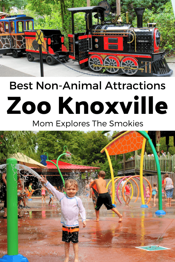 train and splash pad at Zoo Knoxville