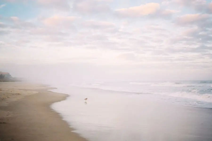 Pale glowing sky over a sandy beach with crashing waves in Carolina beach