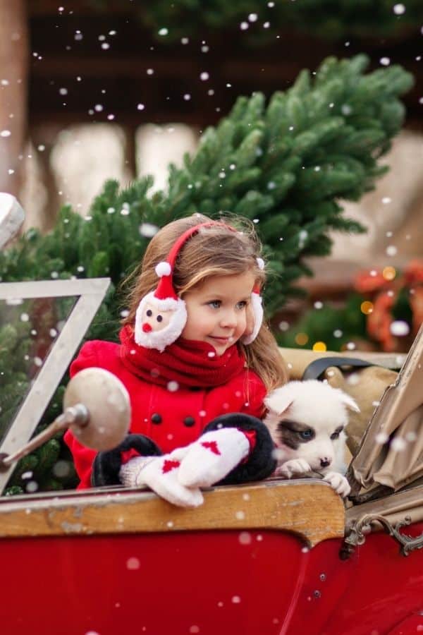 Young girl with puppy riding in Christmas car representing Knoxville Christmas parades