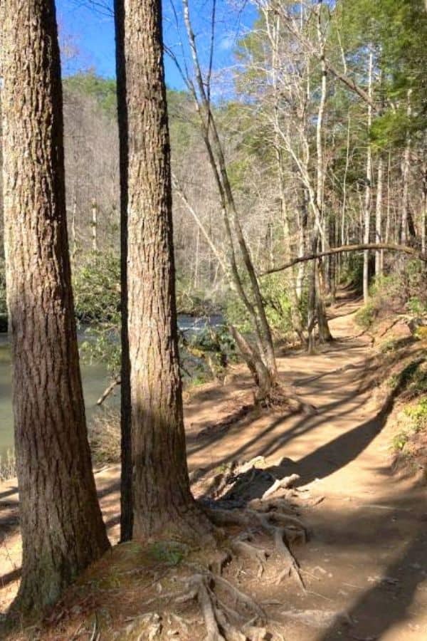 Dirt Path Trail Along the River for Hiking in Cades Cove