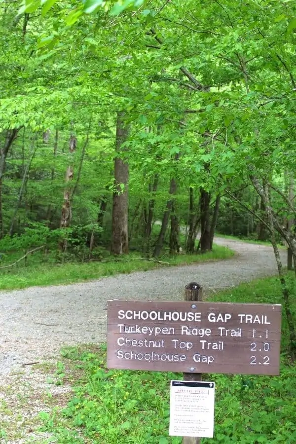 Brown Trail Sign For Schoolhouse Gap Trail in front of a winding hiking trail with a green tree canopy