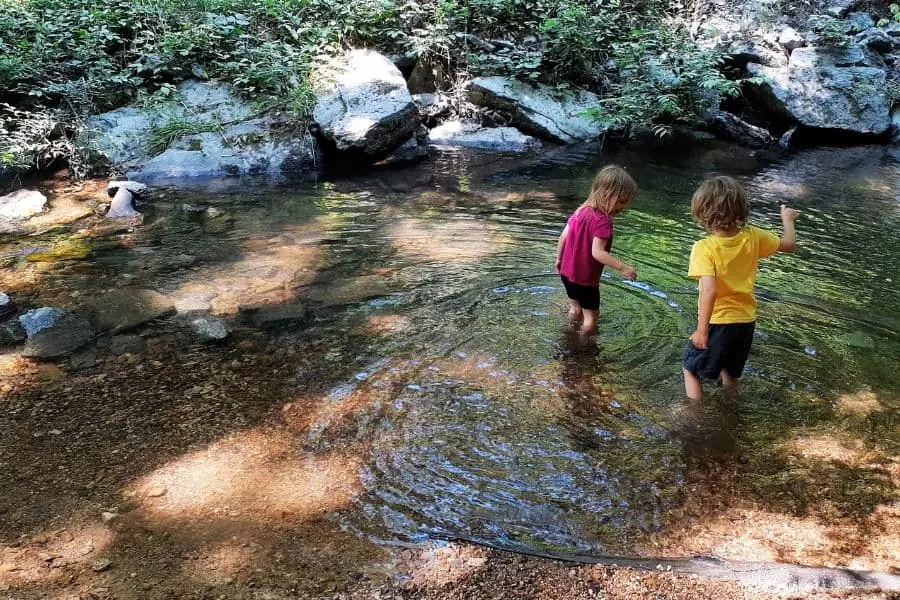 two happy children playing in a creek