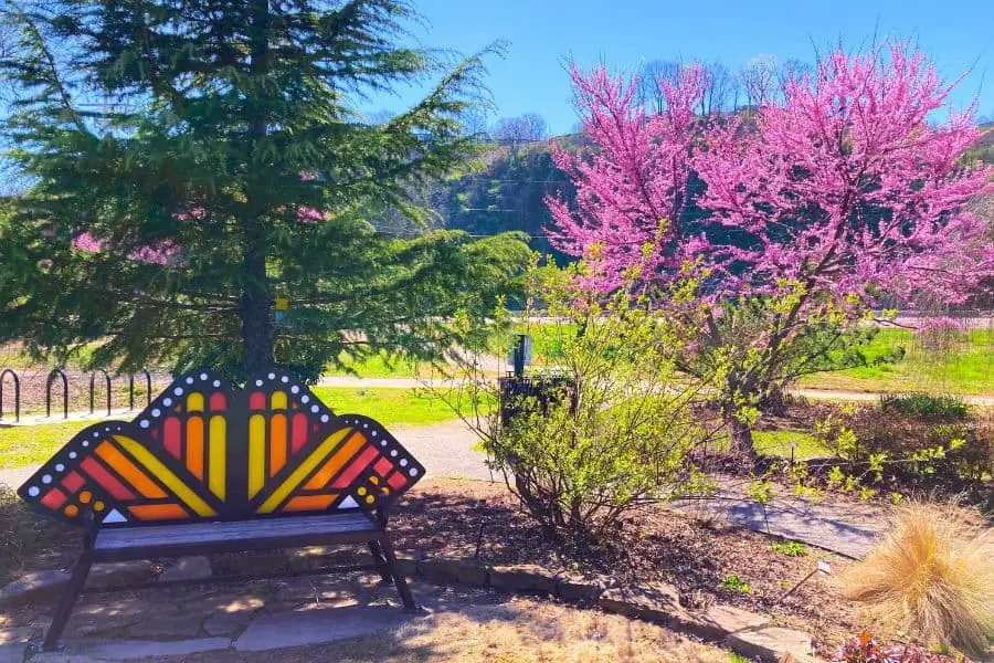 orange and yellow butterfly shaped bench infront of pink red bud tree representing free attractions in Knoxville.