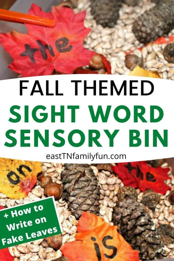 Fall Themed Sight Word Sensory Bin