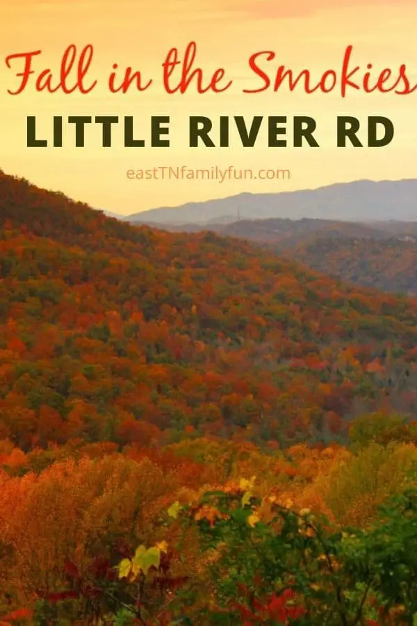 Little River Road Townsend