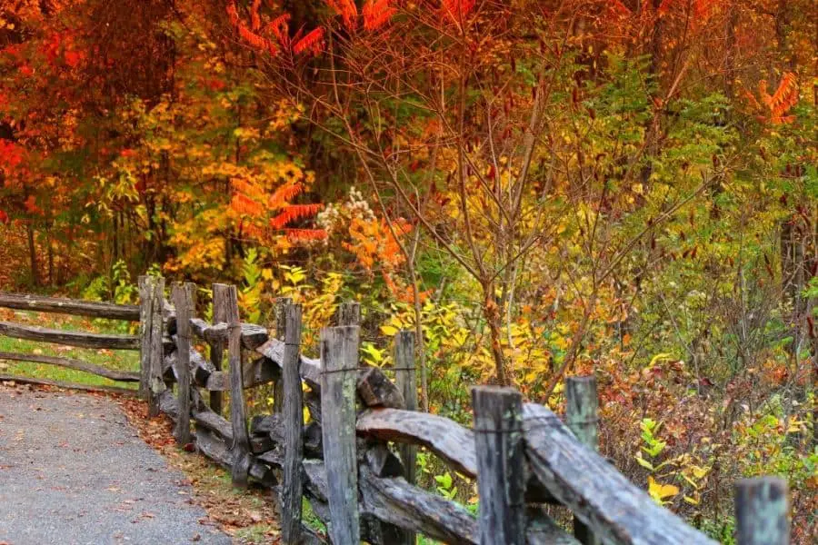 Townsend TN in Fall