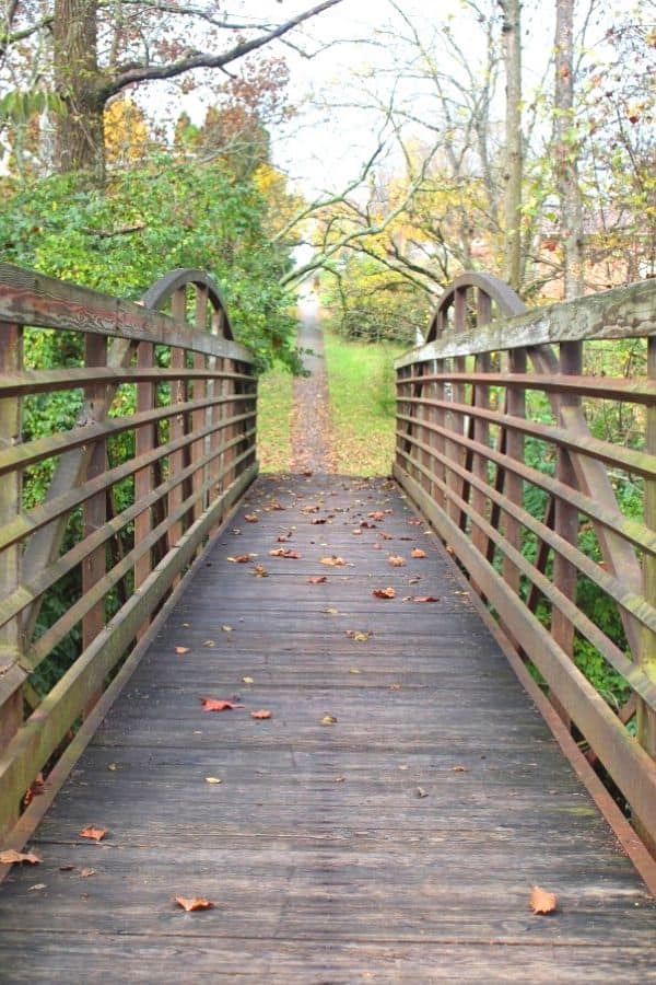 walking bridge with weathered wooden boards and a rustic metal railing