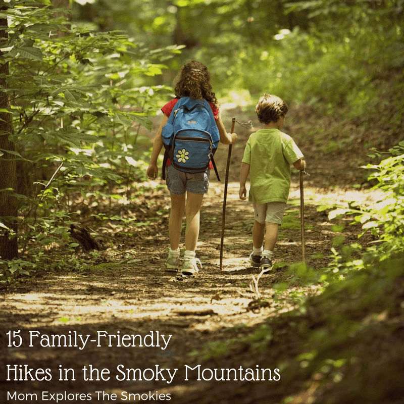 15 Best Smoky Mountain Trails for Kids' Hiking 2 East TN Family Fun