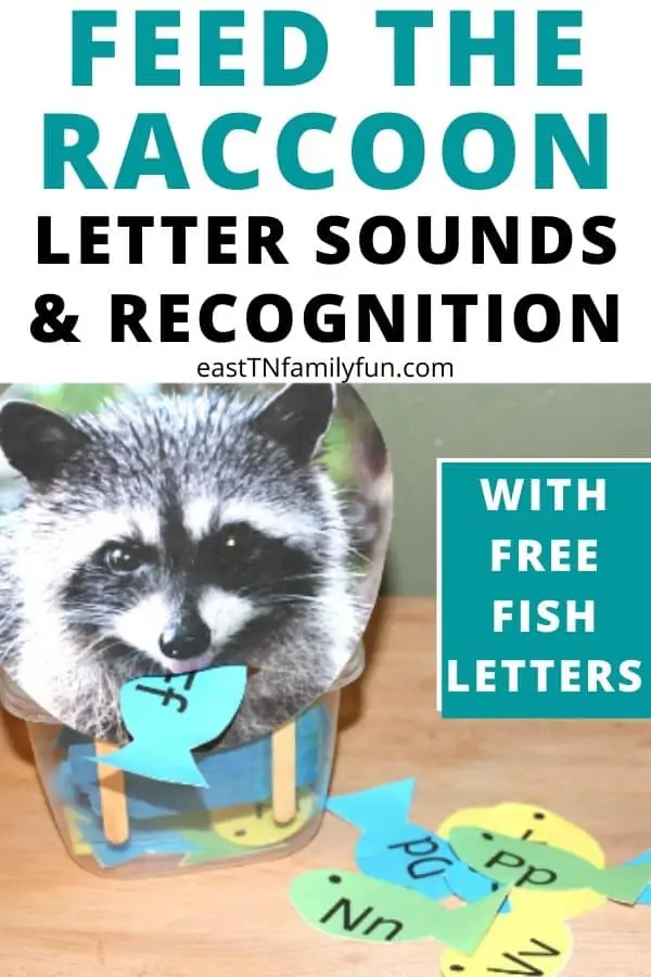 completely assembled Feed The Raccoon Printable Letter Identification Activity