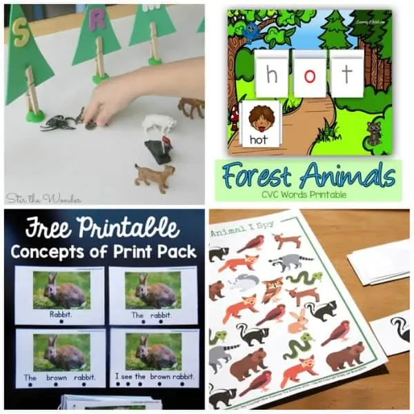 Forest Animal matching activities for Kids