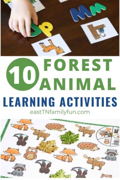 10 Forest Animal Learning Activities