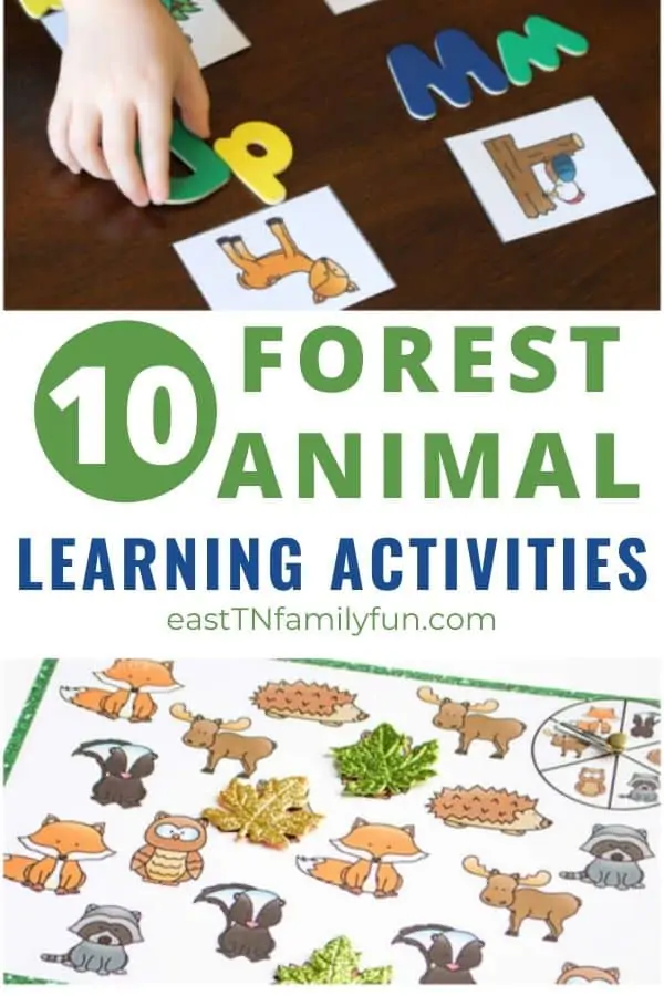Forest Animal Learning Activities for Kids