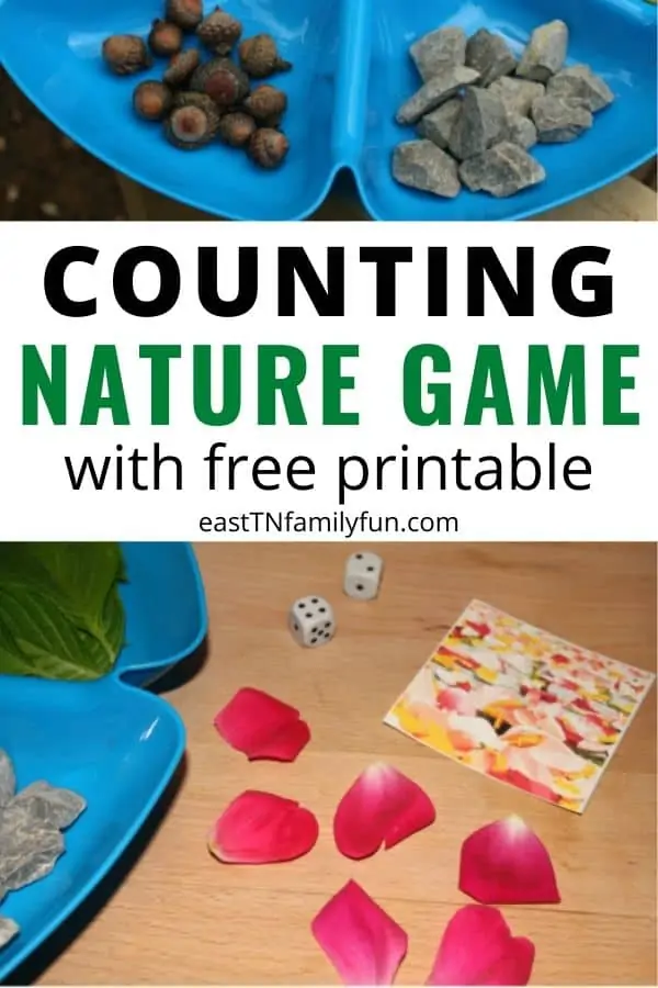 Printable Nature Counting Game wwith rocks, flower petals and gam dice