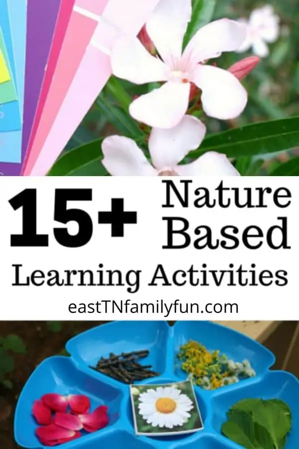 Nature Learning Activities for Kids