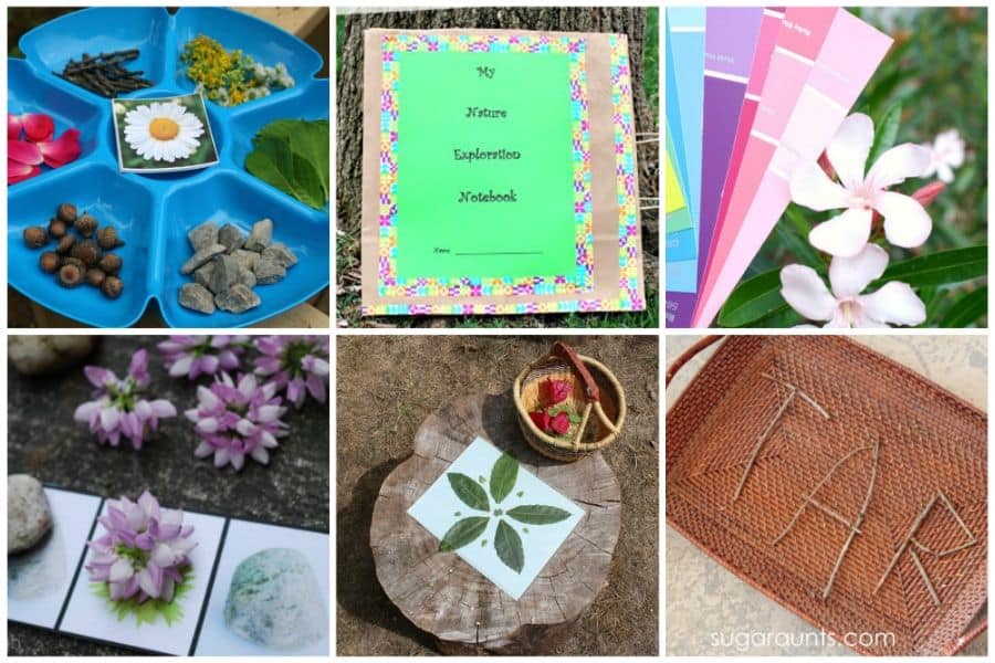 activitity collage 2 