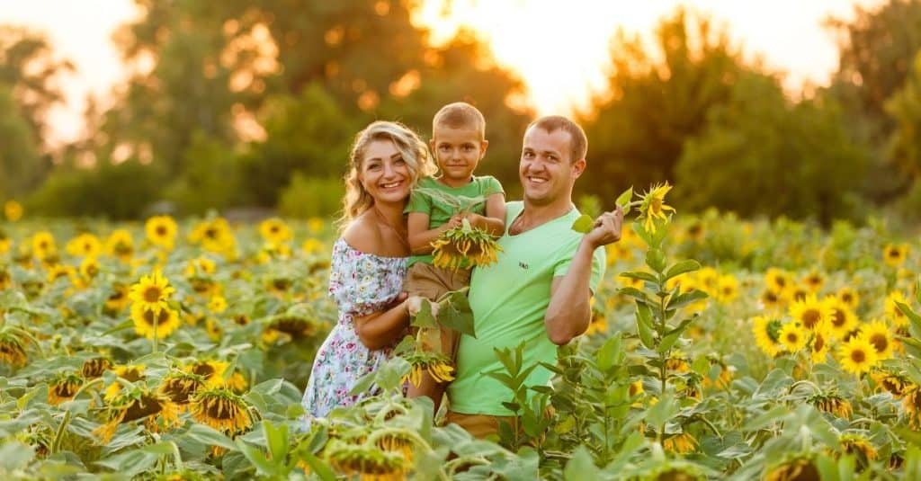 Knoxville Sunflower field represented by a happy family standing in a sunflower field