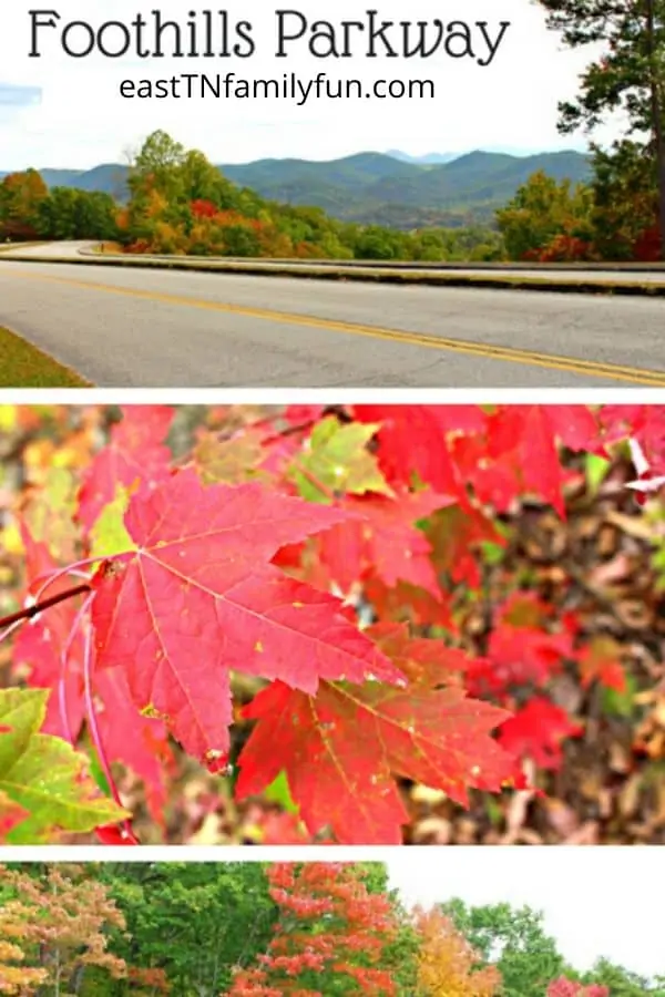 Foothills Parkway in the Fall