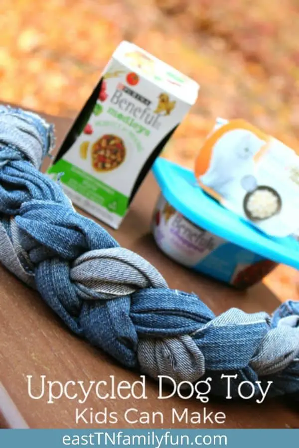 Dog Toy Craft for Kids