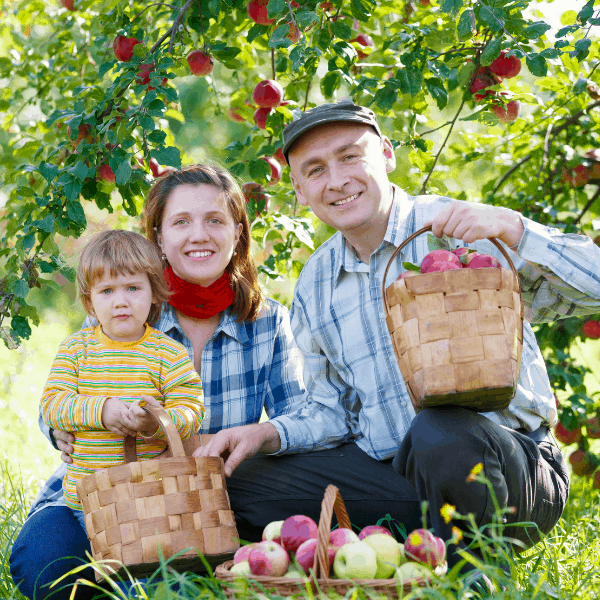 Young family with apple baskets representing apple orchards in East Tennessee