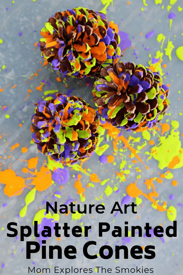 Splatter Painted Pine Cones Nature Art, Nature Craft for Kids, Mom Explores The Smokies