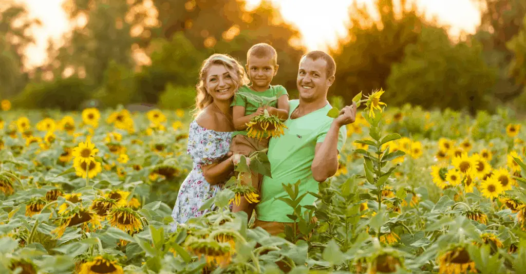 Best East TN Sunflower Fields Including Knoxville, Chattanooga and Tri-Cities