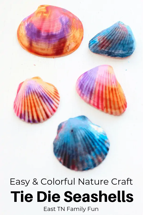This gorgeous tie dye seashell craft is the perfect way to use up all your beach shells. Mom Explores The Smokies