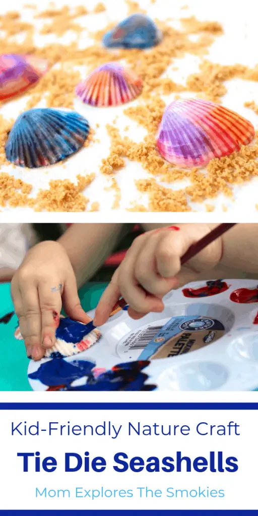 A fun kid-friendly nature craft, tie dye seashell craft, Mom Explores The Smokies