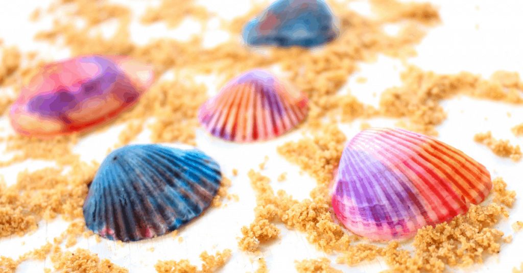 This easy and stunning seashell craft is perfect for kids and adults. Shell crafts are gorgeous. Mom Explores The Smokies