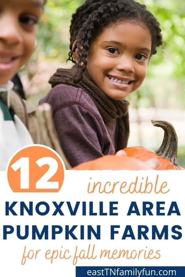 Best Pumpkin Patches in Knoxville TN