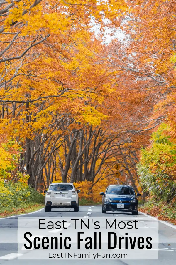 East TN's Most Scenic Drives