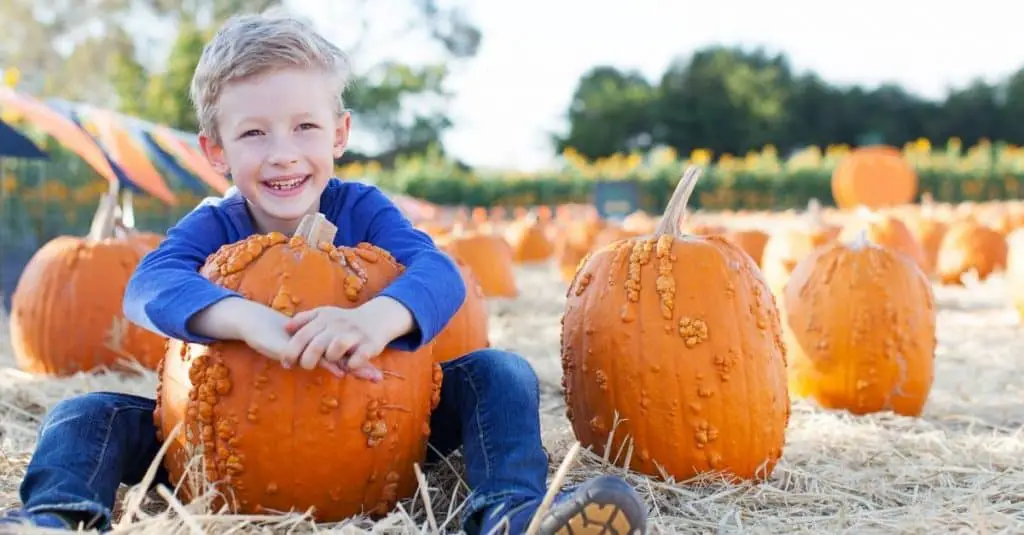 Chattanooga Pumpkin Farms