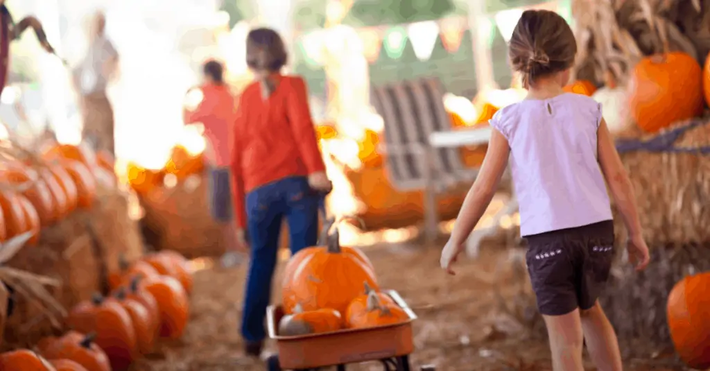 Girl pulling red pumpkin wagon, Pumpkin Patches Near Johnson City TN