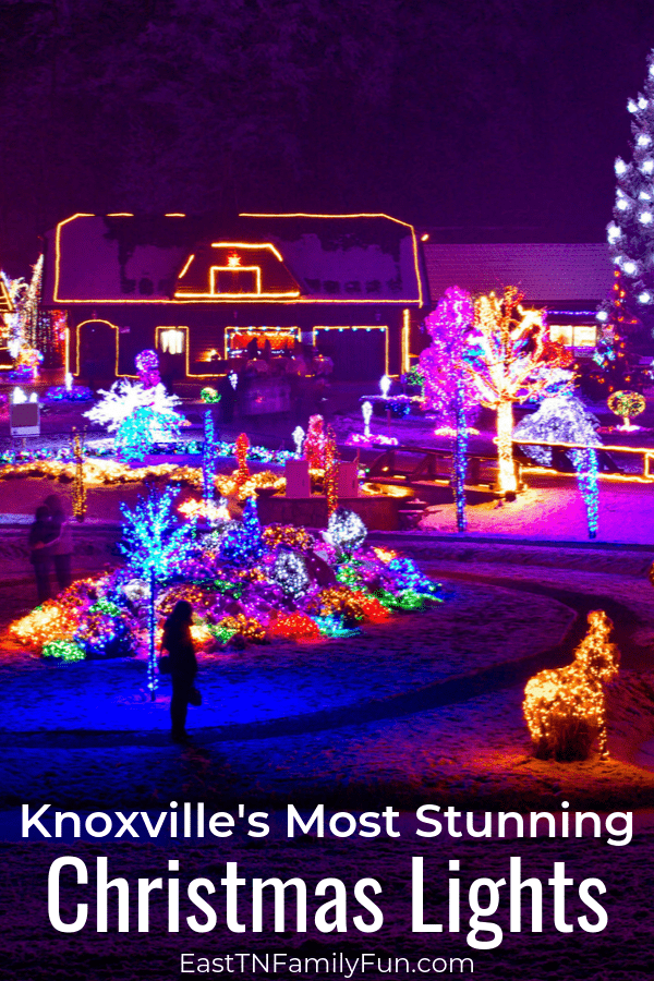 Best Spots to View Christmas Lights in Knoxville TN | East TN Family Fun