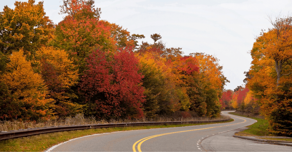 Cherohala Skyway in fall, Cherokee National Forest, TN