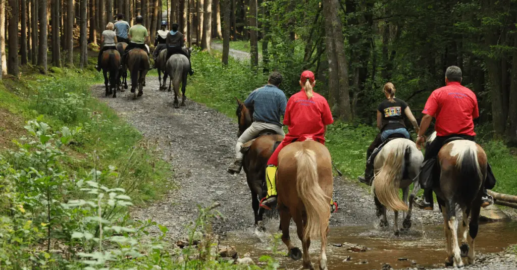 horseback riding locations in Cherokee National Forest, TN
