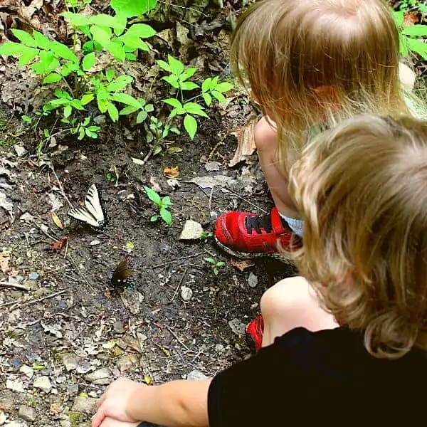 Children looking at butterfly on hiking trail near Pigeon Forge with toddlers