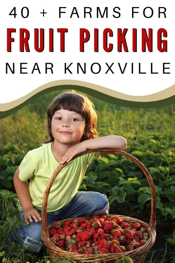 fruit picking near Knoxville
