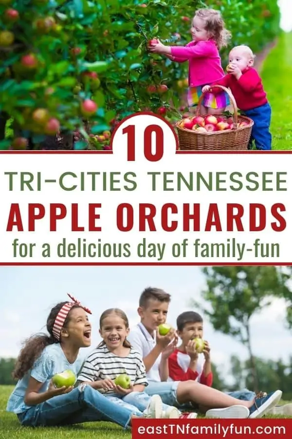 Smiling kids picking and eating apples, representing Apple Picking Near Johnson City TN. 